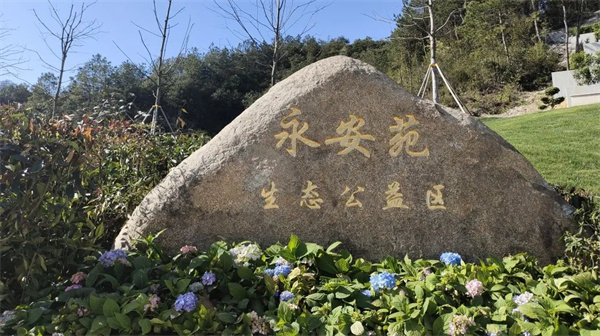 天竹园墓型展示 (1).jpg