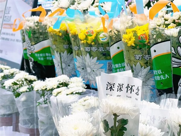临安天竹园墓地 (8).jpg