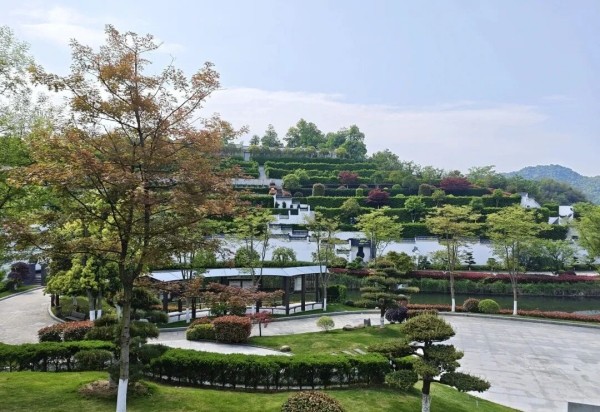 天竹园 (1).jpg