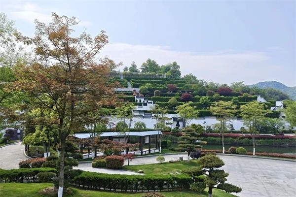 临安天竹园 (3).jpg